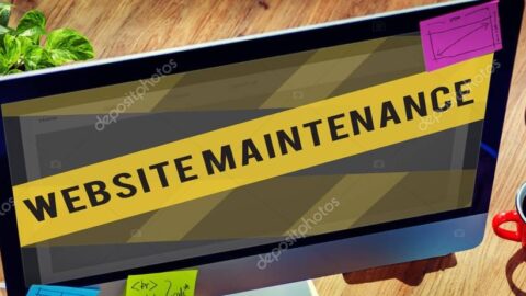 Next1221 12 Tips for Hong Kong Businesses to Manage and Host a Website Successfully